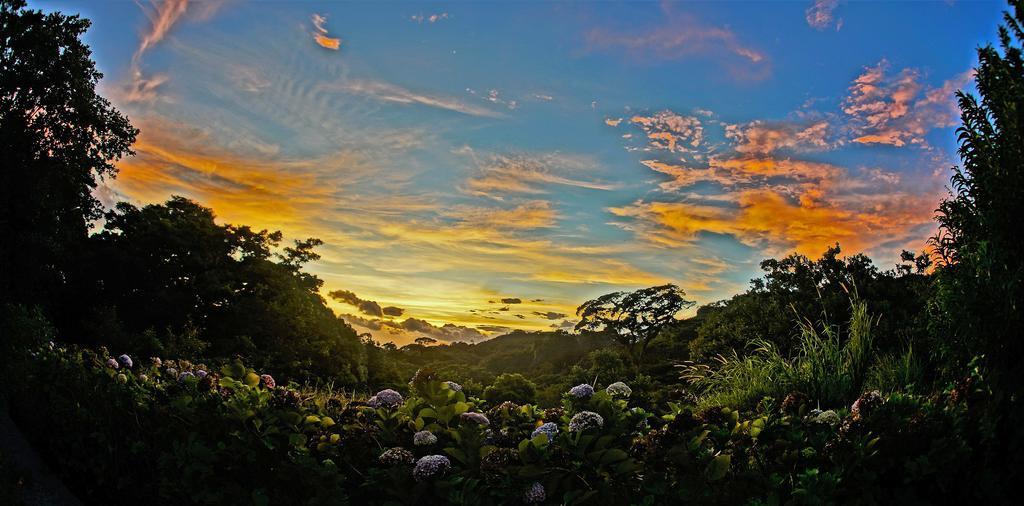 El Establo Mountain Hotel Monteverde Zewnętrze zdjęcie